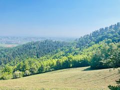 -敬亭山风景名胜区