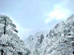 -黄山风景区