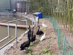 -春晖园度假酒店温泉