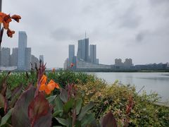 -天鹅湖体育公园