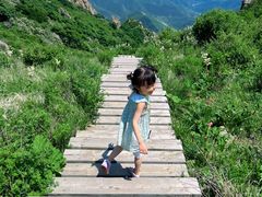 -白草畔自然风景区