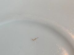 -赠李白·如诗的川味(余杭万达广场店)