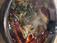 -重庆特色冷锅鱼(武大店)