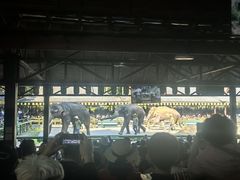 -野象谷景区