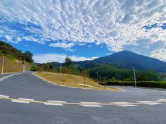 -黄埔油麻山森林公园
