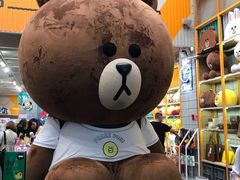 -line friends(明洞旗舰店)