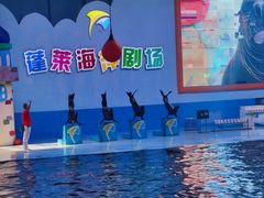 -蓬莱欧乐堡海洋极地世界