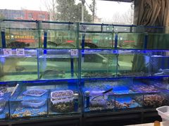 -前王院•巧克力海鲜市集餐厅(万平口店)