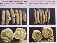 -广东中医药博物馆