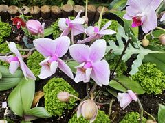 -北京植物园-展览温室