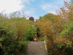 -竹林寺