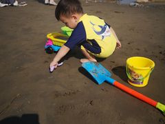 -南汇嘴观海公园