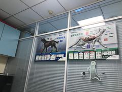 -瑞派·关忠动物医院·猫专科·犬专科(三环新城店)