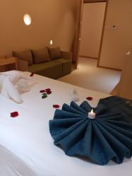点击看大图 -隐逸SPA