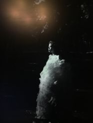 -费拉摄影(天廊T66店)