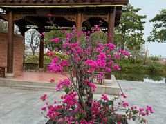-厦门园林博览苑