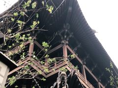 -杭州半山国家森林公园