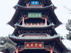 -迎泽公园