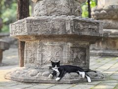 -四门塔风景区