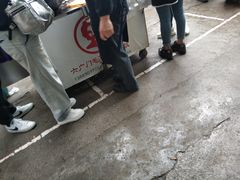 -六广门毛阿姨糯米饭