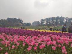 -保利石象湖景区