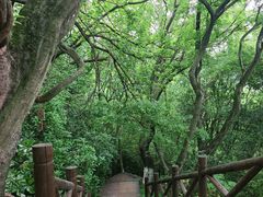 -天目湖山水园