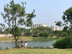 -宝安西湾红树林湿地公园