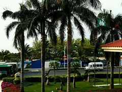 android_upload_pic-三亚亚龙湾金棕榈度假酒店