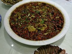 来凤鱼-西木兔(大圆祥店)