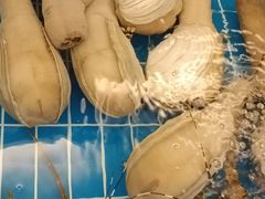 -新丁香海鲜酒店(银海商贸城店)