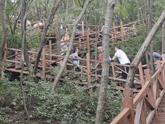 -大岭沟猕猴桃谷风景区