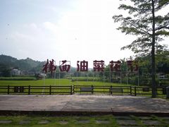 -红山村