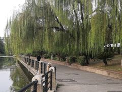 -月湖风景区