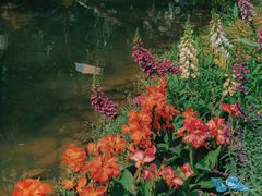 -人民公园(罗湖区)