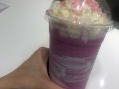 -飞行喵MR PILOT|猫舍·猫咖(静安大融城店)
