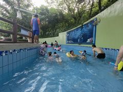 -重庆海昌加勒比海水世界