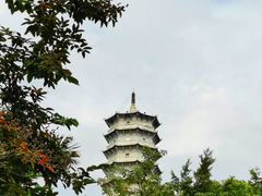 -深圳国际园林花卉博览园