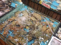 -海天花园酒家