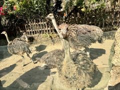 -长鹿旅游休博园