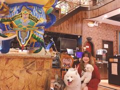 -more than meow吴止猫主题餐厅(承德 中船汇店)