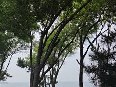 -燕儿岛山公园