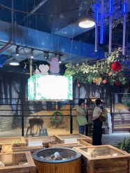 -酷嗒动物文化乐园(cutezoo西溪乐天城店)