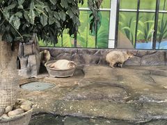 -海合安成都极地海洋公园