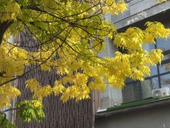 -长白岛森林公园