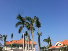 -厦门悦华酒店