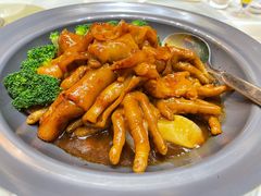 鲍汁凤爪扣花胶-五缘水乡酒店兰轩中餐厅