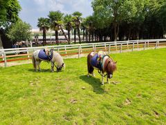 -太阳岛度假酒店