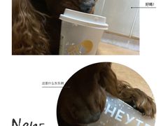 -喜茶(北京五棵松华熙店)