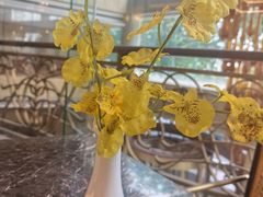 -阳光雷迪森广场酒店(中山东路店)