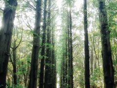 -同里国家湿地公园